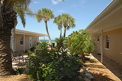 Tropical courtyard at A Beach Retreat
